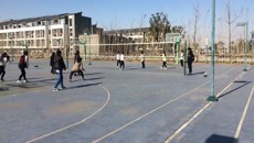 激揚青春 享受排球快樂